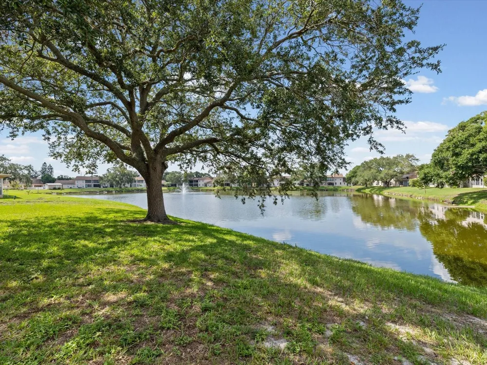 3806 STAYSAIL LANE Holiday, FL 34691