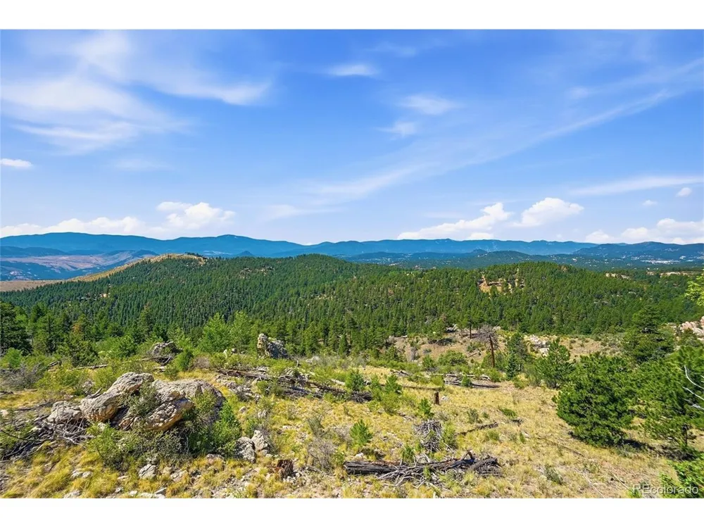 33550 Mount Wilson Road Pine, CO 80470