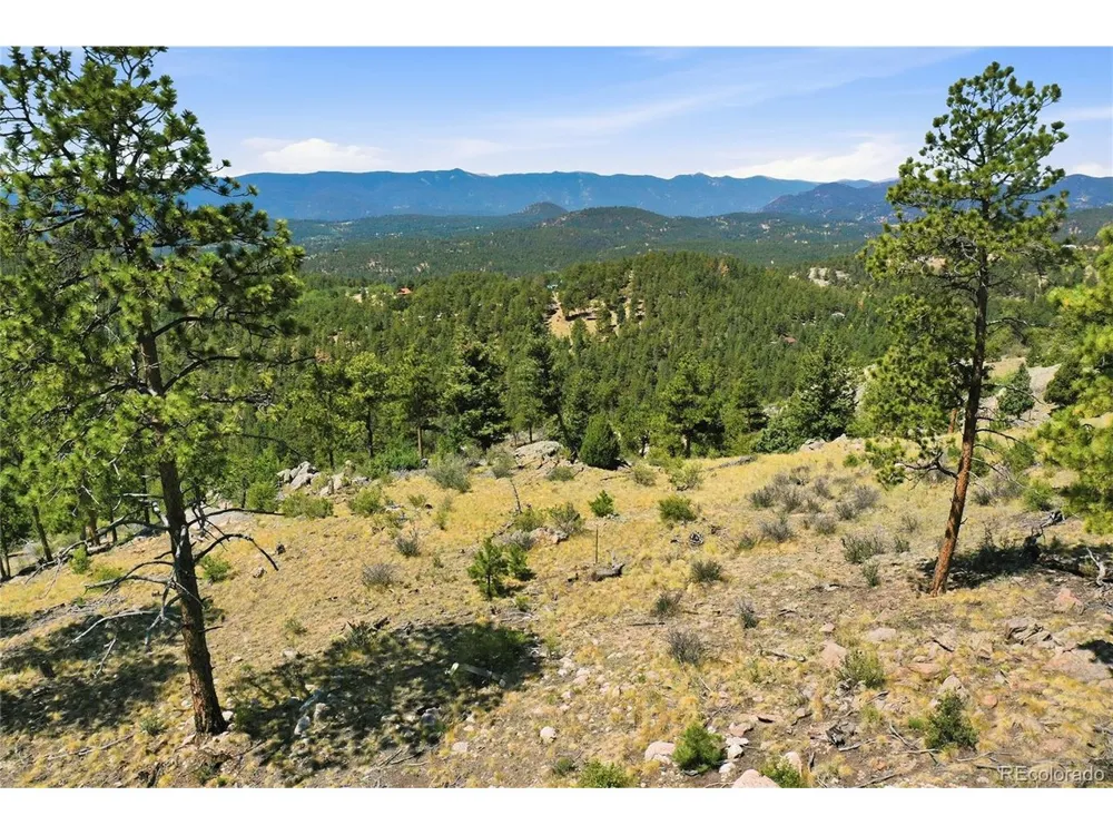 33550 Mount Wilson Road Pine, CO 80470