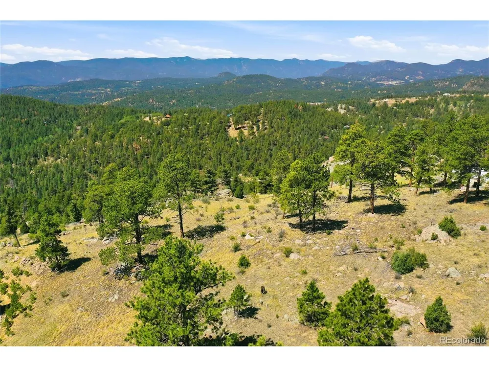 33550 Mount Wilson Road Pine, CO 80470