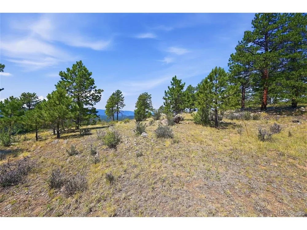 33550 Mount Wilson Road Pine, CO 80470