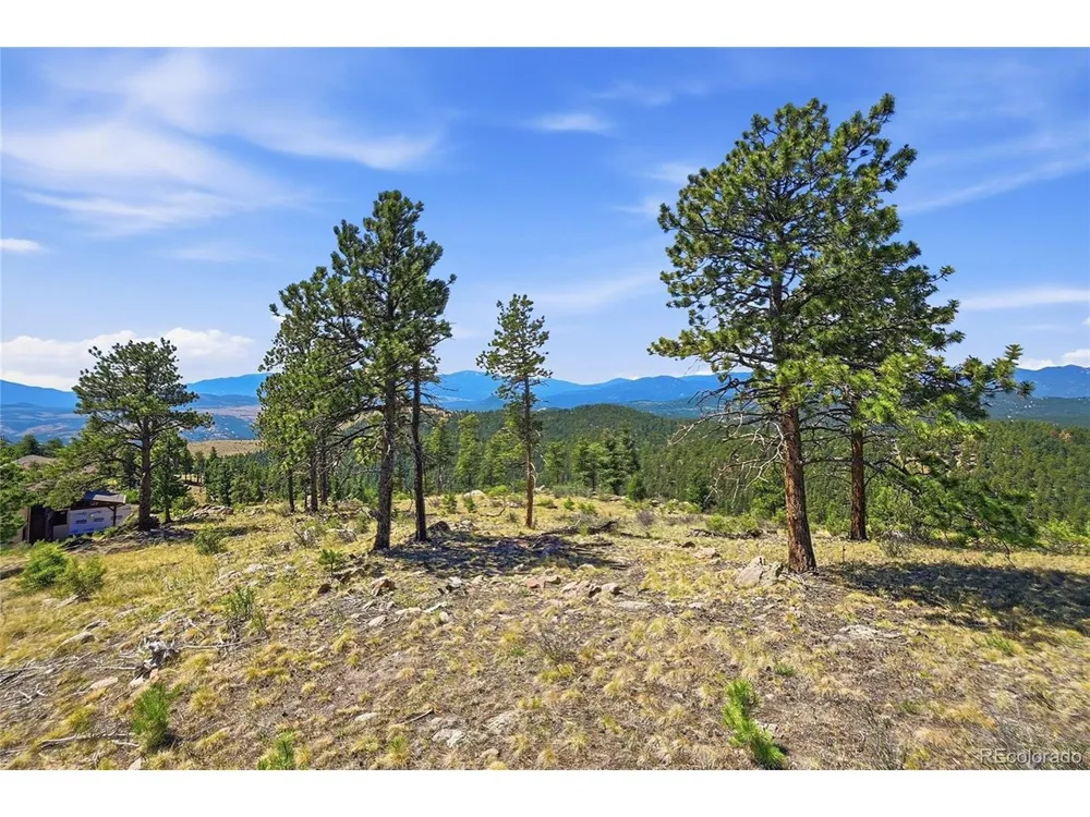 33550 Mount Wilson Road Pine, CO 80470