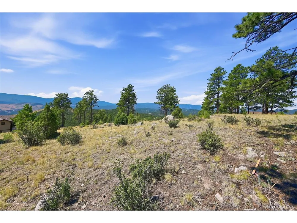 33550 Mount Wilson Road Pine, CO 80470