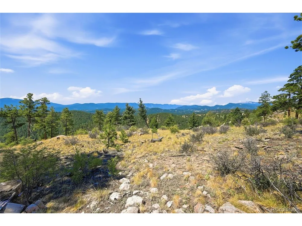 33550 Mount Wilson Road Pine, CO 80470