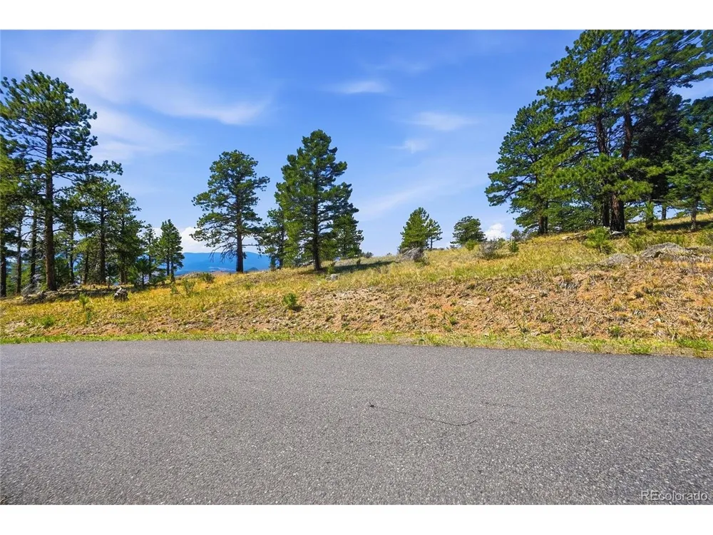 33550 Mount Wilson Road Pine, CO 80470