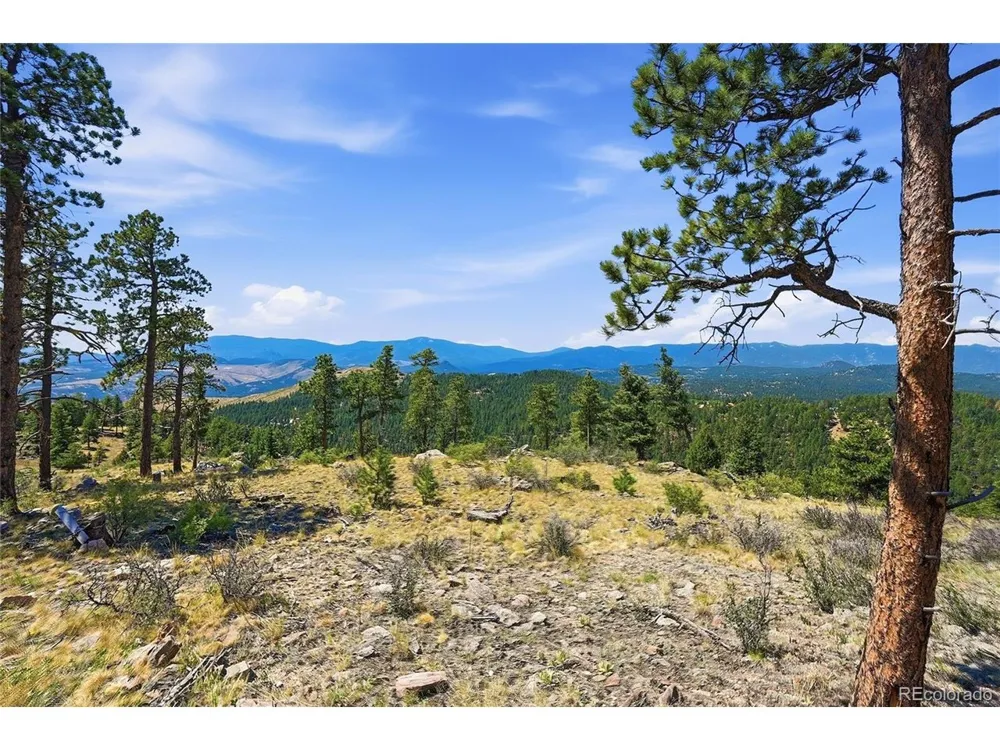 33550 Mount Wilson Road Pine, CO 80470