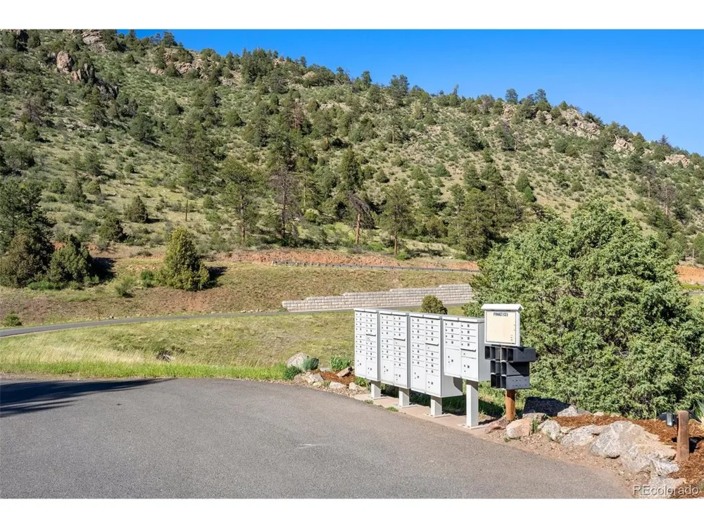 33550 Mount Wilson Road Pine, CO 80470