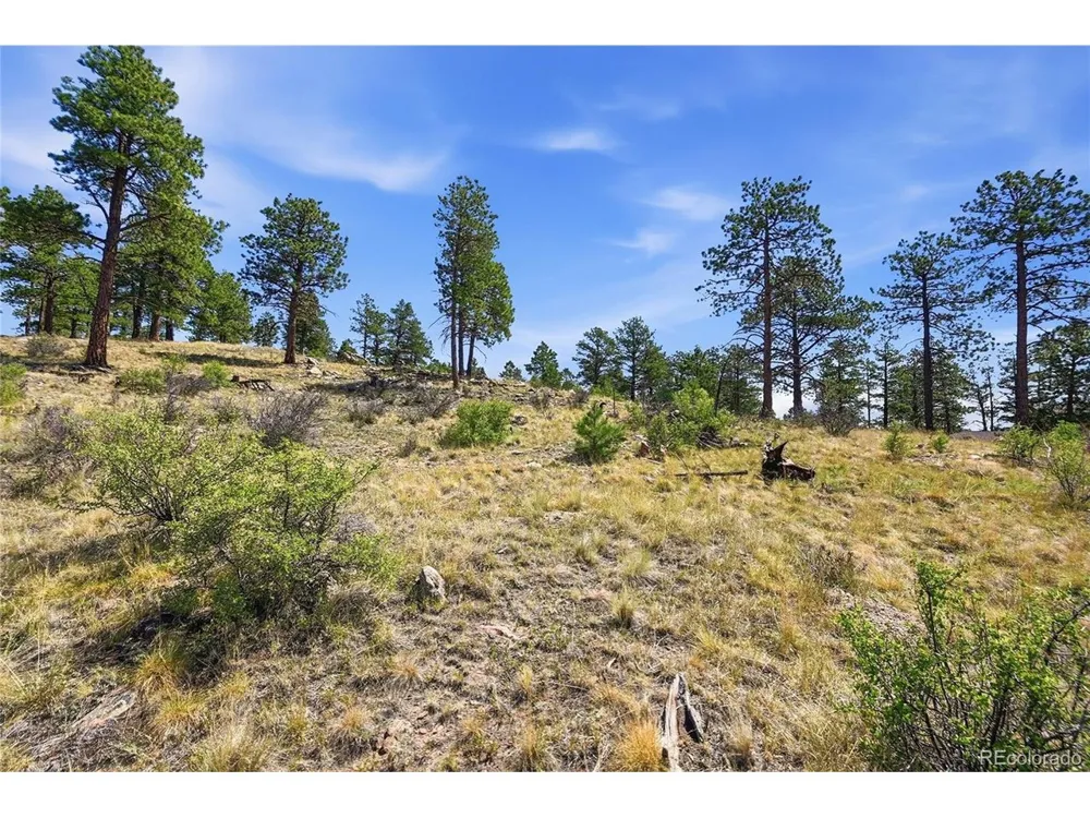 33550 Mount Wilson Road Pine, CO 80470