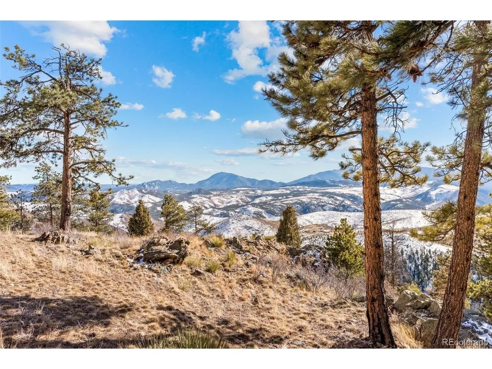 33550 Mount Wilson Road Pine, CO 80470