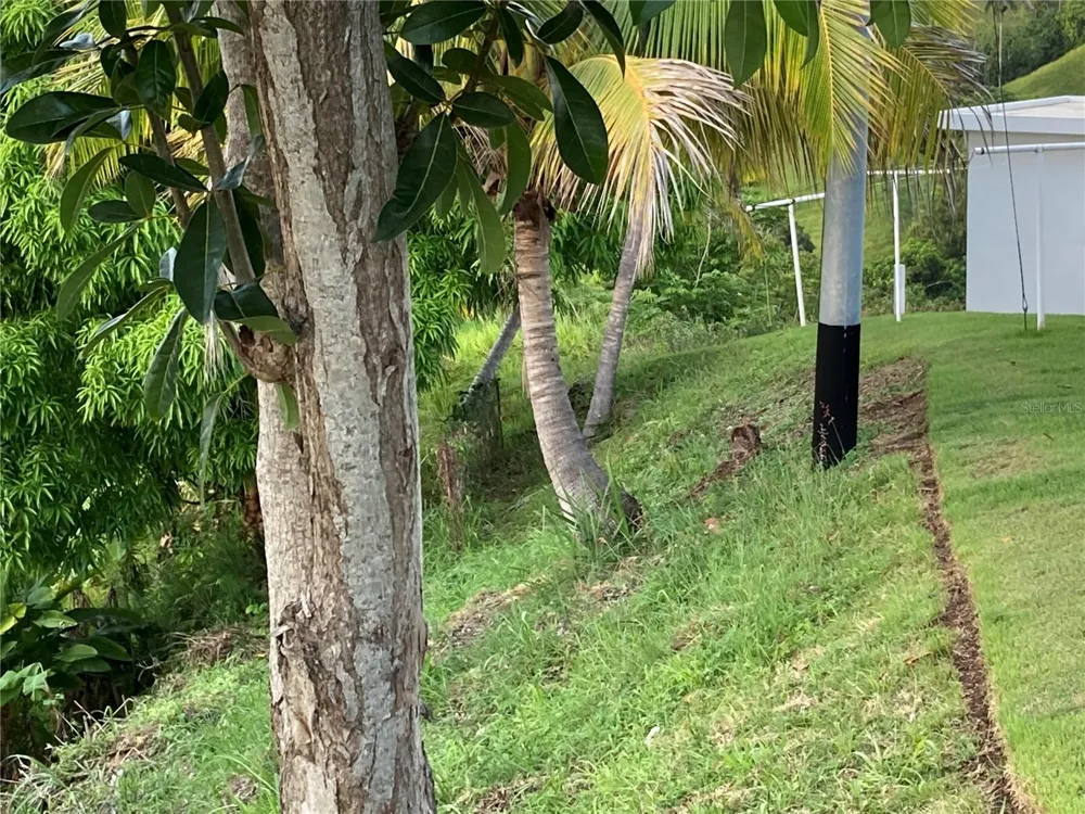 0 BO CRUCES, CARR. 115 RAMAL 4414 KM HM 2.5 ROAD Aguada, PR 00602