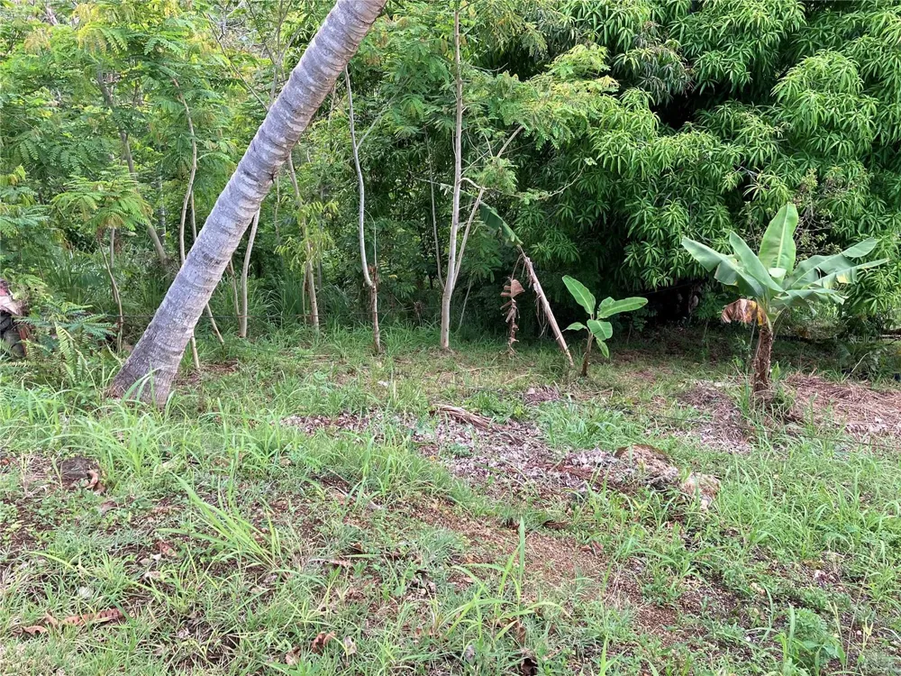 0 BO CRUCES, CARR. 115 RAMAL 4414 KM HM 2.5 ROAD Aguada, PR 00602