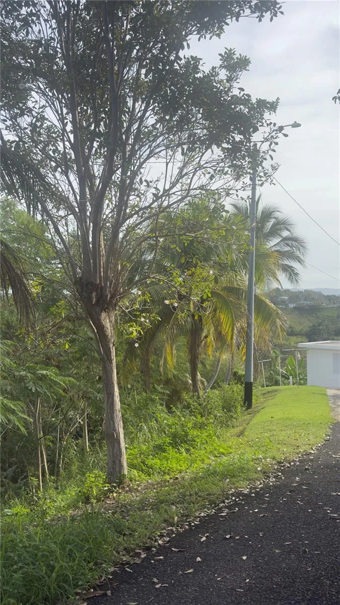 0 BO CRUCES, CARR. 115 RAMAL 4414 KM HM 2.5 ROAD Aguada, PR 00602