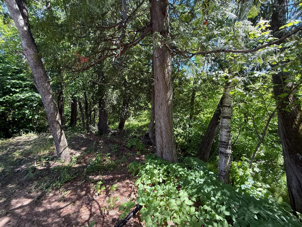 6231 72nd Street NE #1 Remer, MN 56672