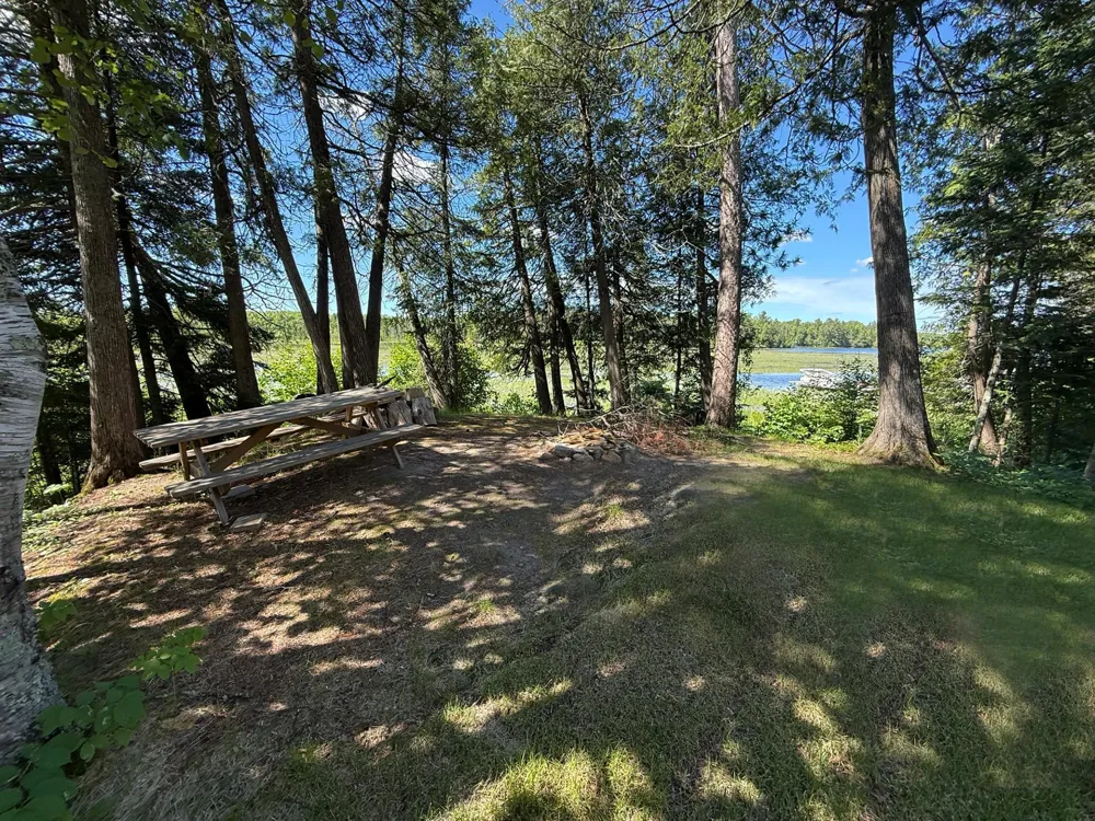 6231 72nd Street NE #1 Remer, MN 56672