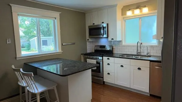319 S Miller Avenue Litchfield, MN 55355