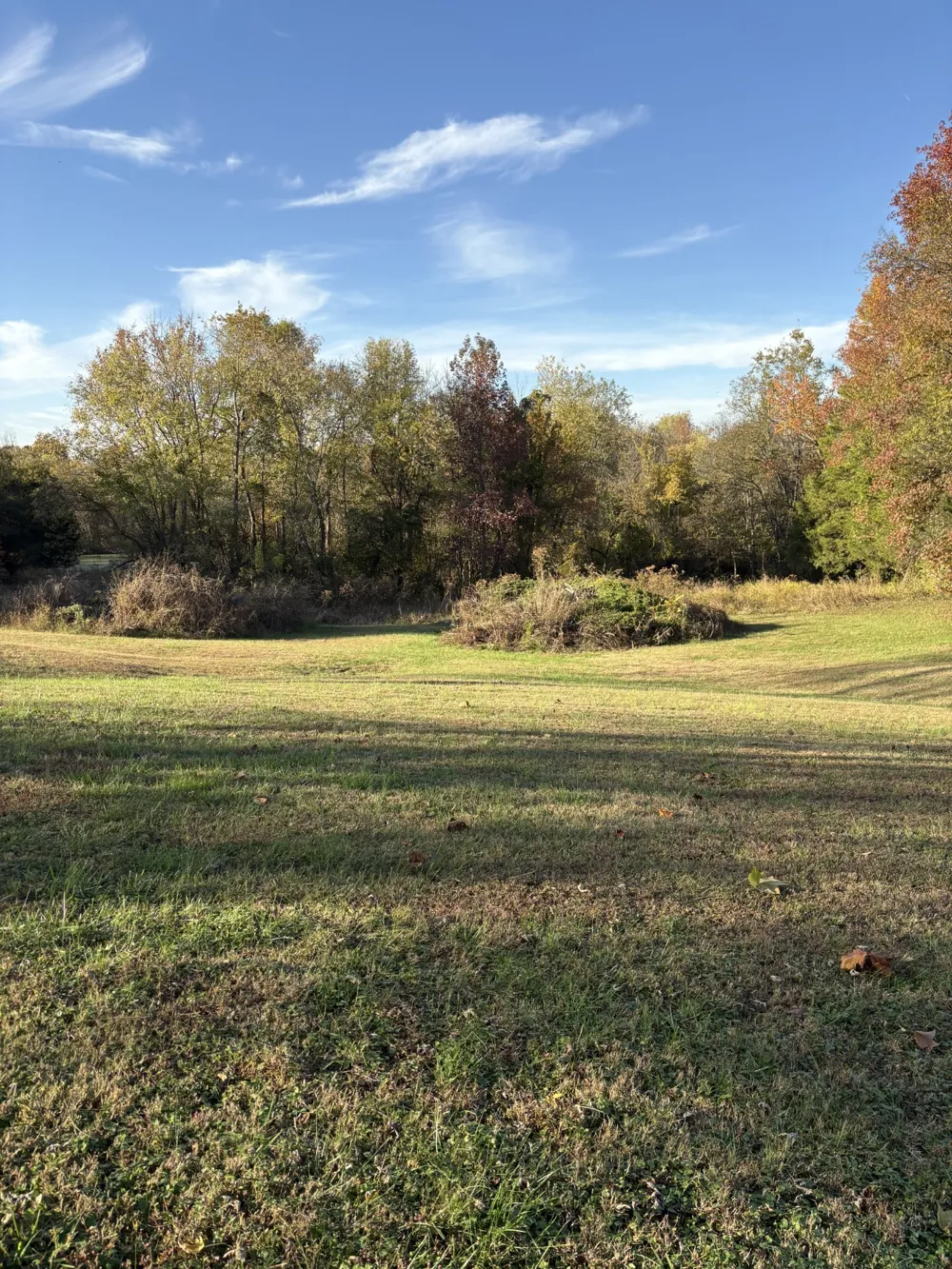 8989 Lebanon Rd Mount Juliet, TN 37122