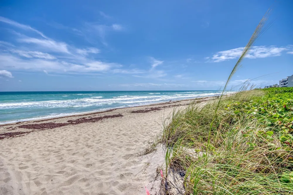 1501 NE Ocean Boulevard #8 Stuart, FL 34996