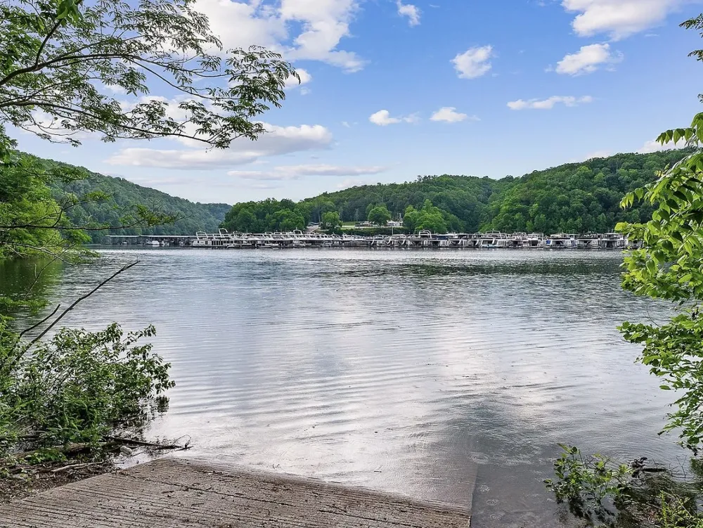195 Summer Breeze Dr Smithville, TN 37166