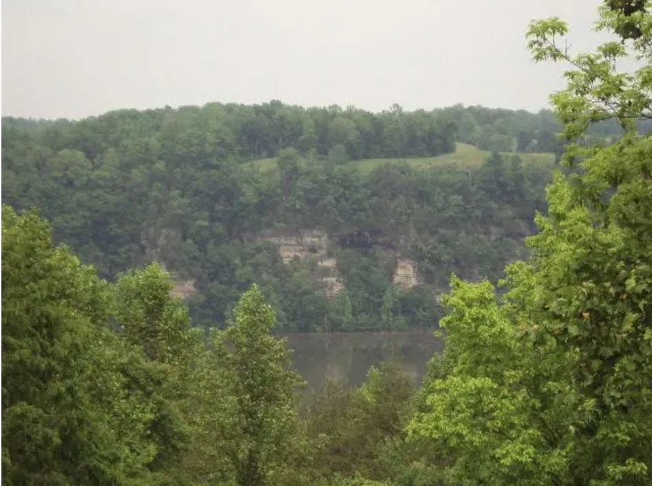 195 Summer Breeze Dr Smithville, TN 37166