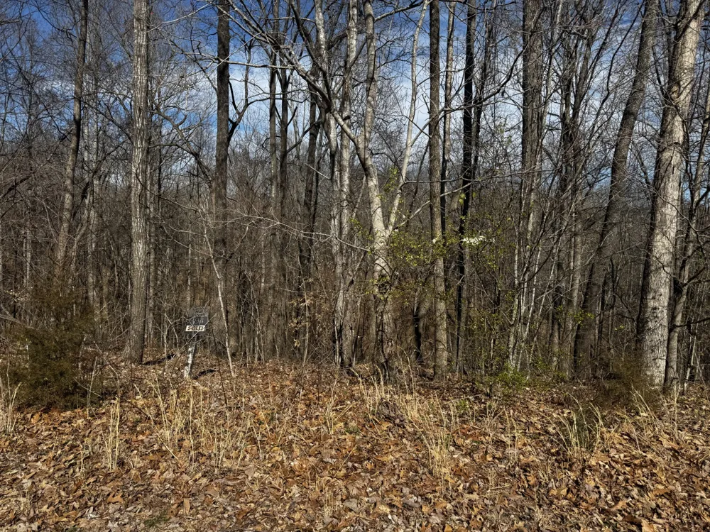 0 Dakota Ln Smithville, TN 37166