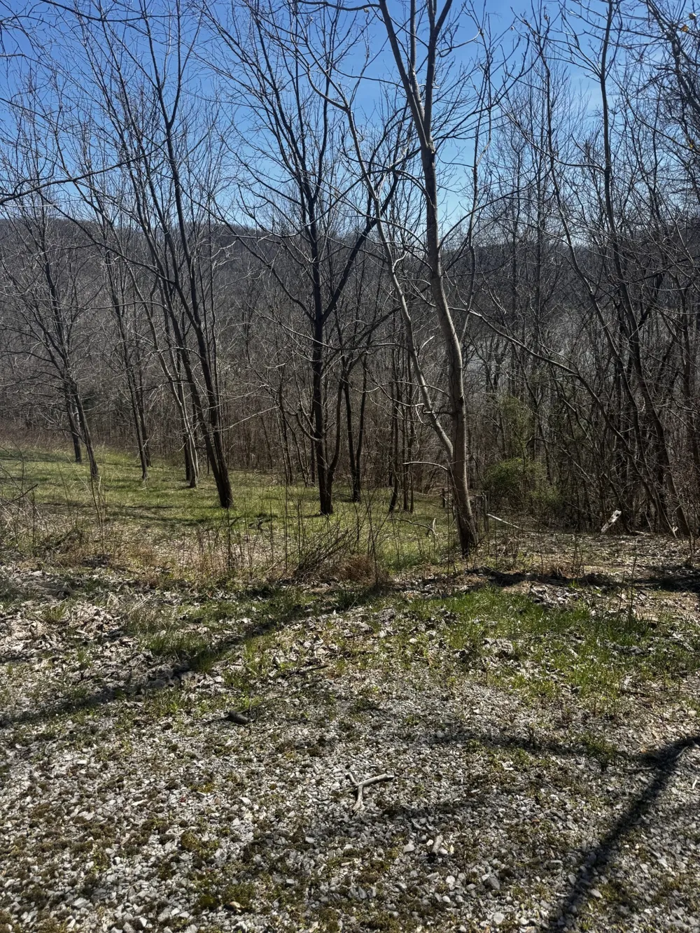 0 Dakota Ln Smithville, TN 37166