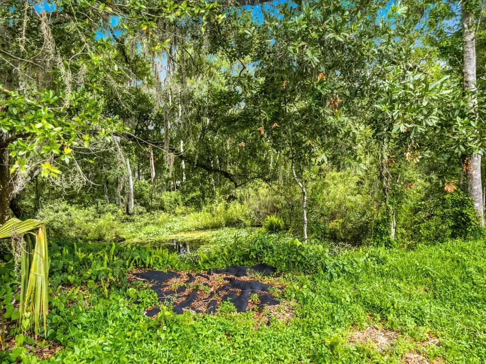 4617 DEBBIE LANE Lutz, FL 33559