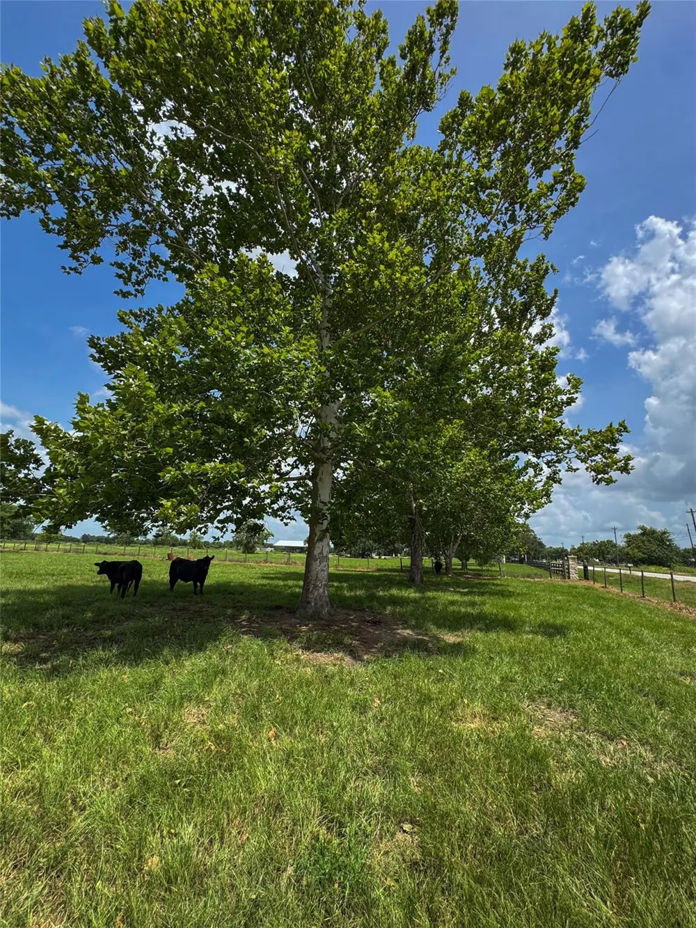 5903 Foster School Road Needville, TX 77461