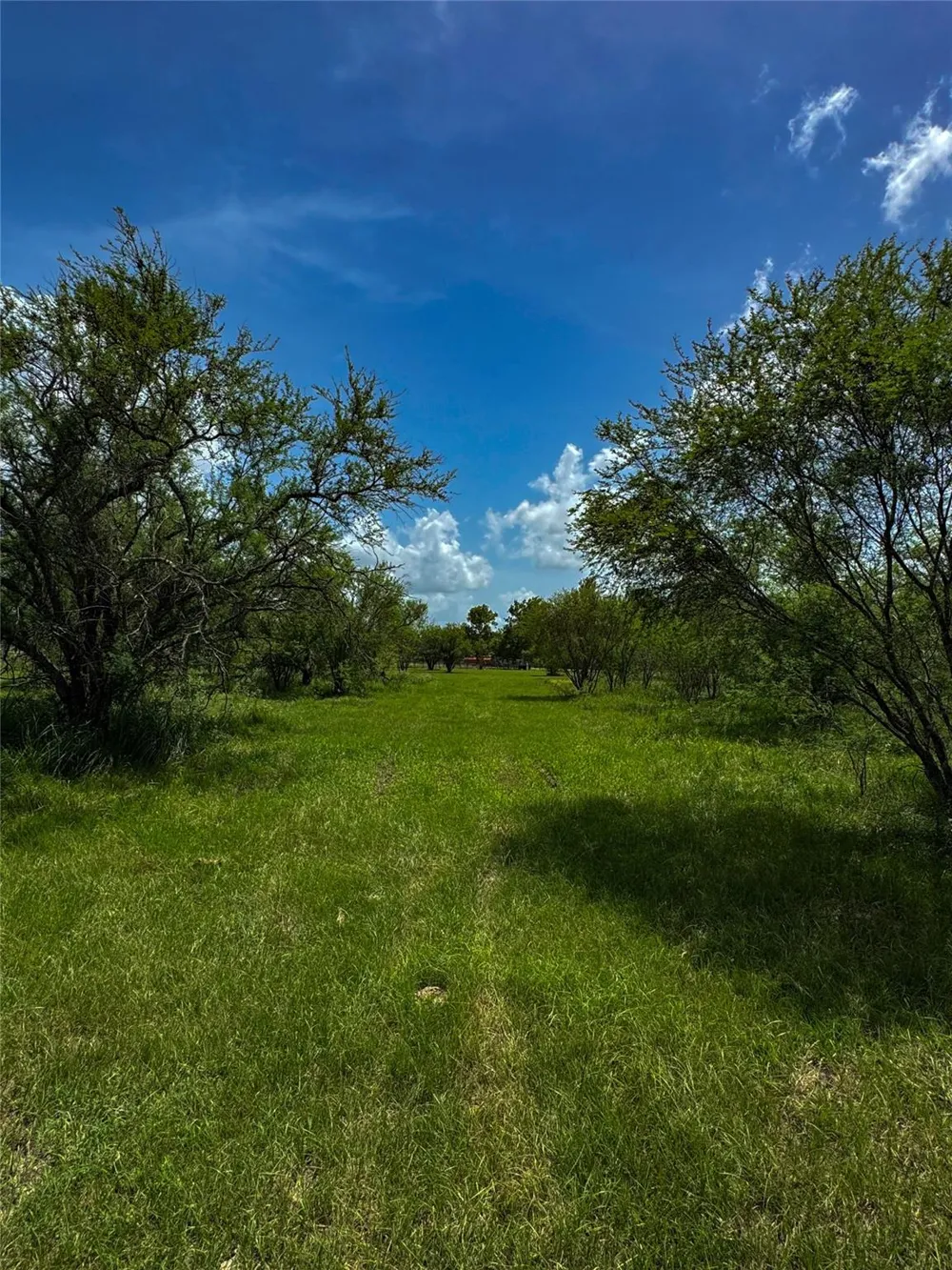 5903 Foster School Road Needville, TX 77461