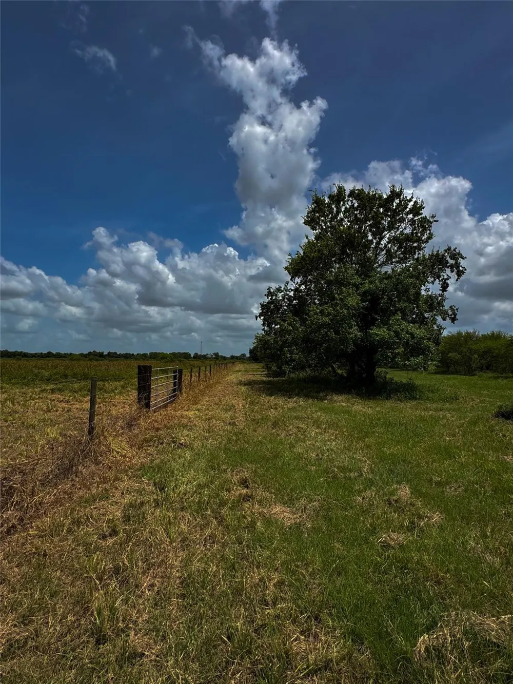 5903 Foster School Road Needville, TX 77461