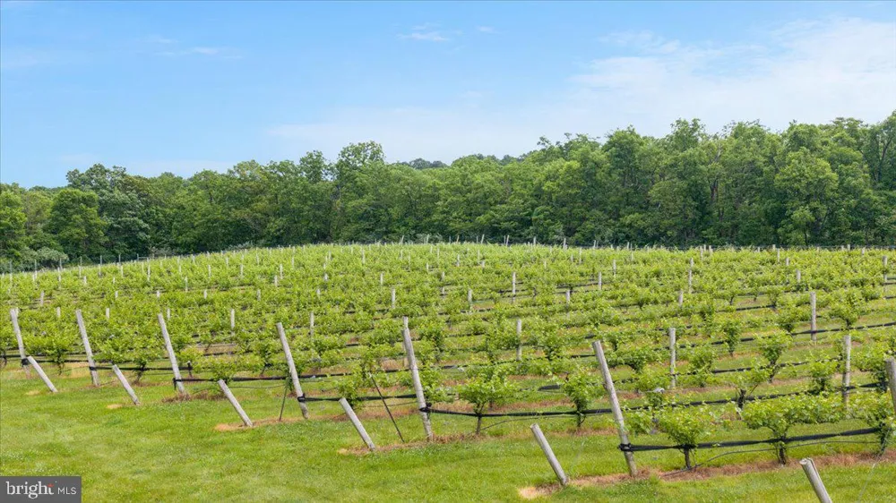 450 GREEN SPRING ROAD Winchester, VA 22603