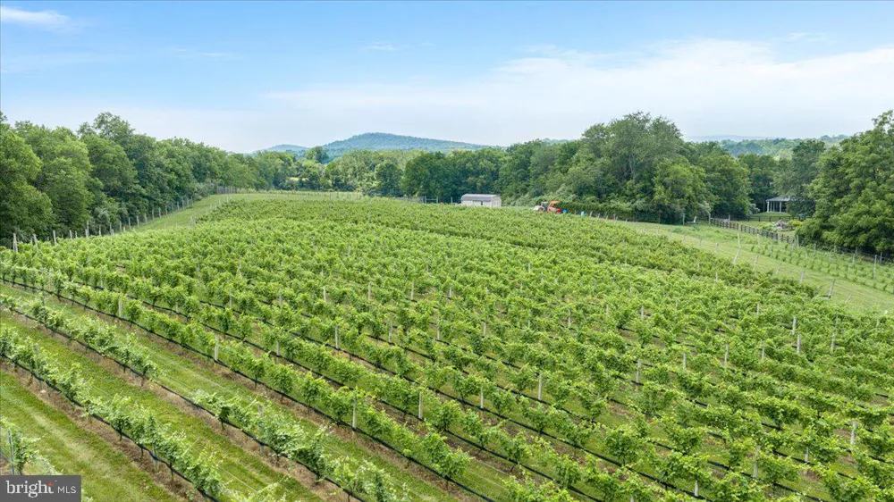 450 GREEN SPRING ROAD Winchester, VA 22603