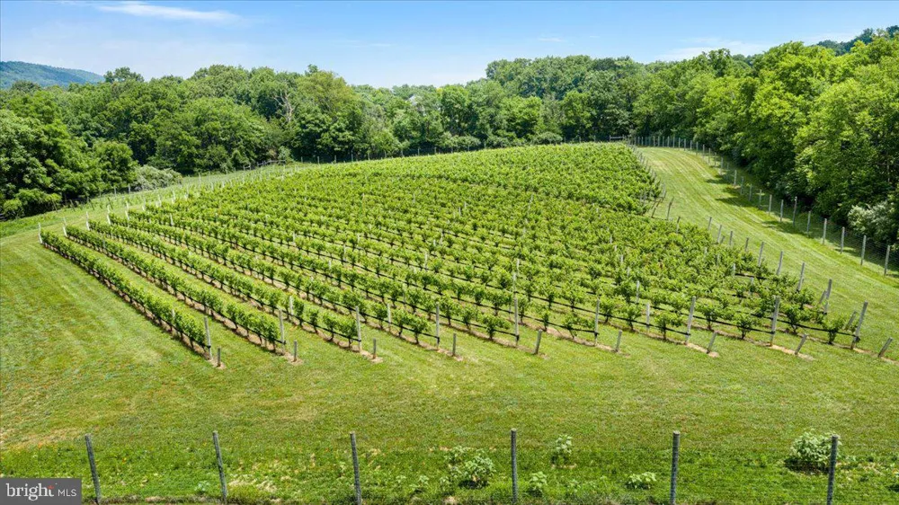 450 GREEN SPRING ROAD Winchester, VA 22603