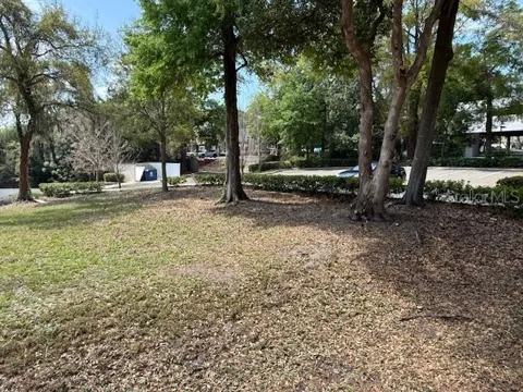610 JASMINE ROAD