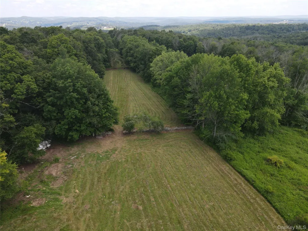 1103 County Road 114 Cochecton, NY 12726