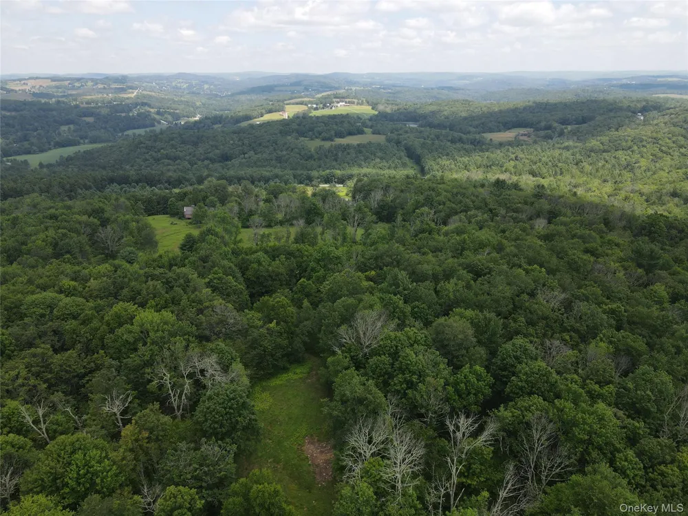 1103 County Road 114 Cochecton, NY 12726