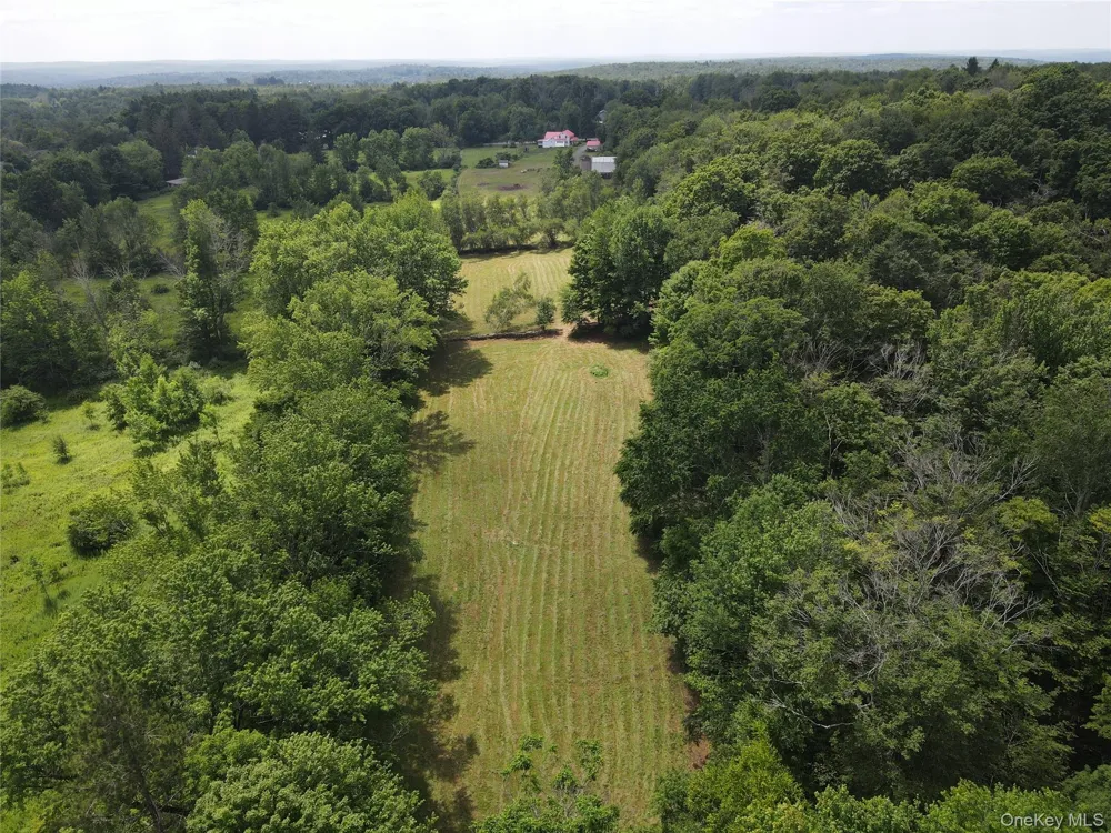 1103 County Road 114 Cochecton, NY 12726