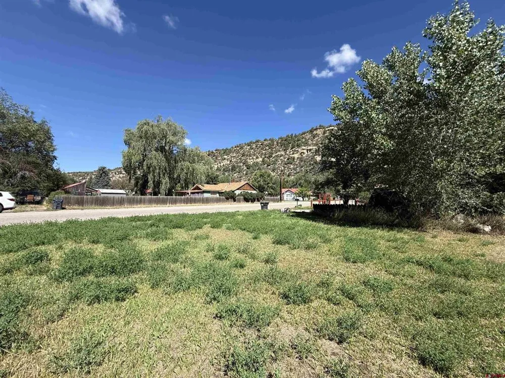 107 11Th Street Dolores, CO 81323