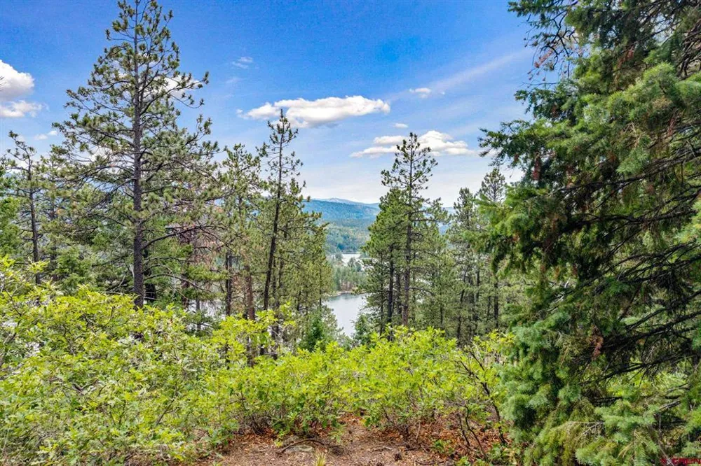 E Spruce Mesa Drive Durango, CO 81301