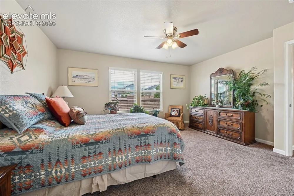 8202 Potentilla Grove Colorado Springs, CO 80908