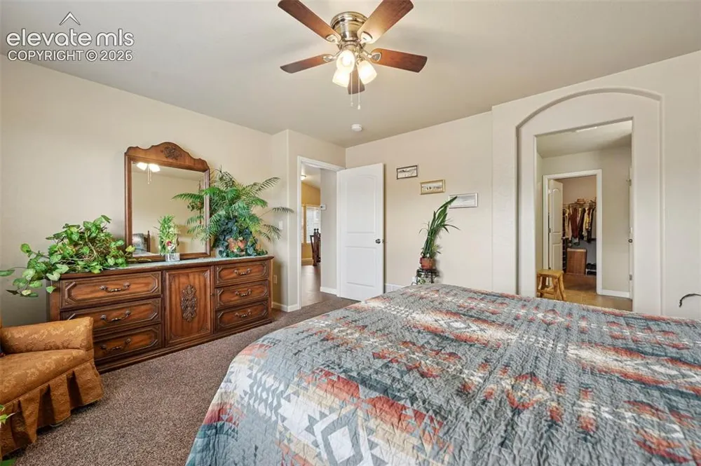 8202 Potentilla Grove Colorado Springs, CO 80908