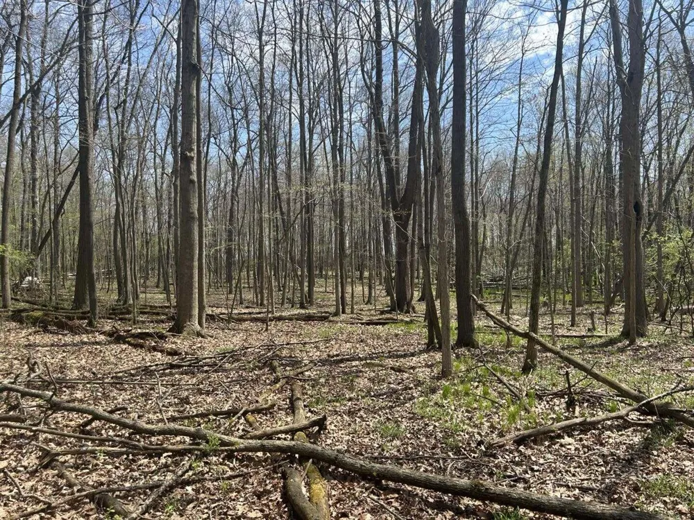 Halfmoon Lake Rd. Hillsdale, MI 49242