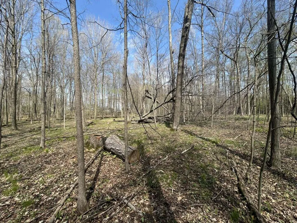 Halfmoon Lake Rd. Hillsdale, MI 49242