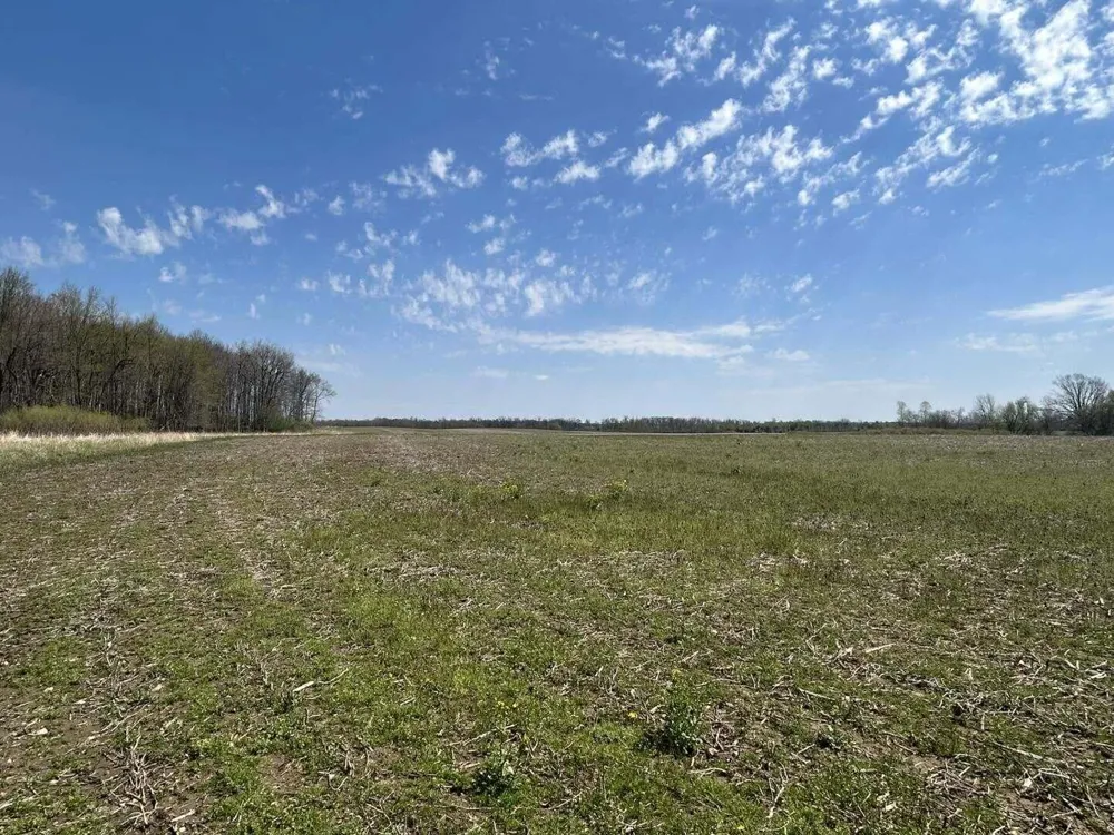 Halfmoon Lake Rd. Hillsdale, MI 49242