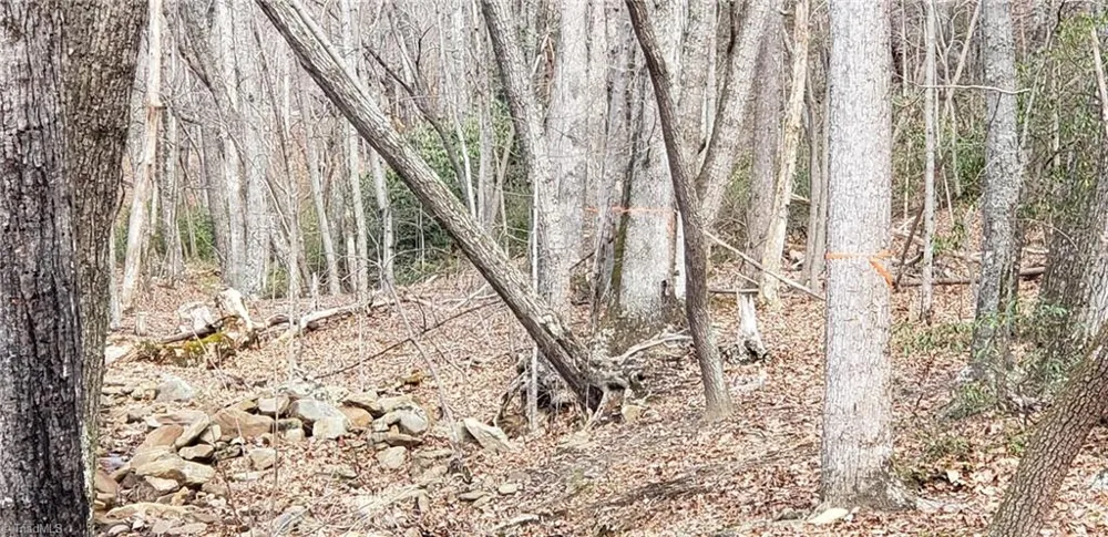 0 Reid Road #Lot 1 King, NC 27021