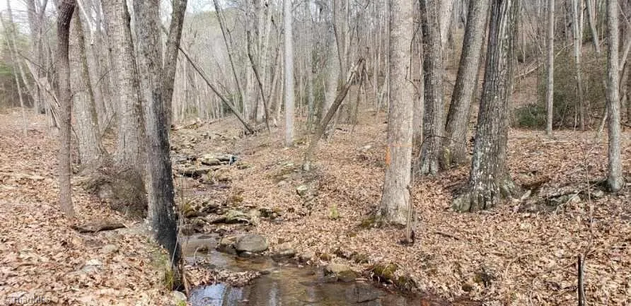 0 Reid Road #Lot 1 King, NC 27021
