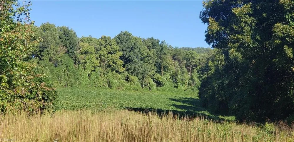 0 Reid Road #Lot 1 King, NC 27021