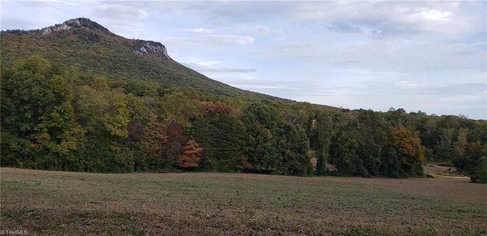 0 Reid Road #Lot 1 King, NC 27021