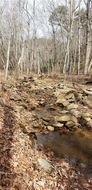 0 Reid Road #Lot 1 King, NC 27021
