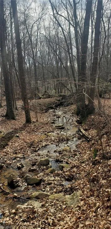 0 Reid Road #Lot 1 King, NC 27021