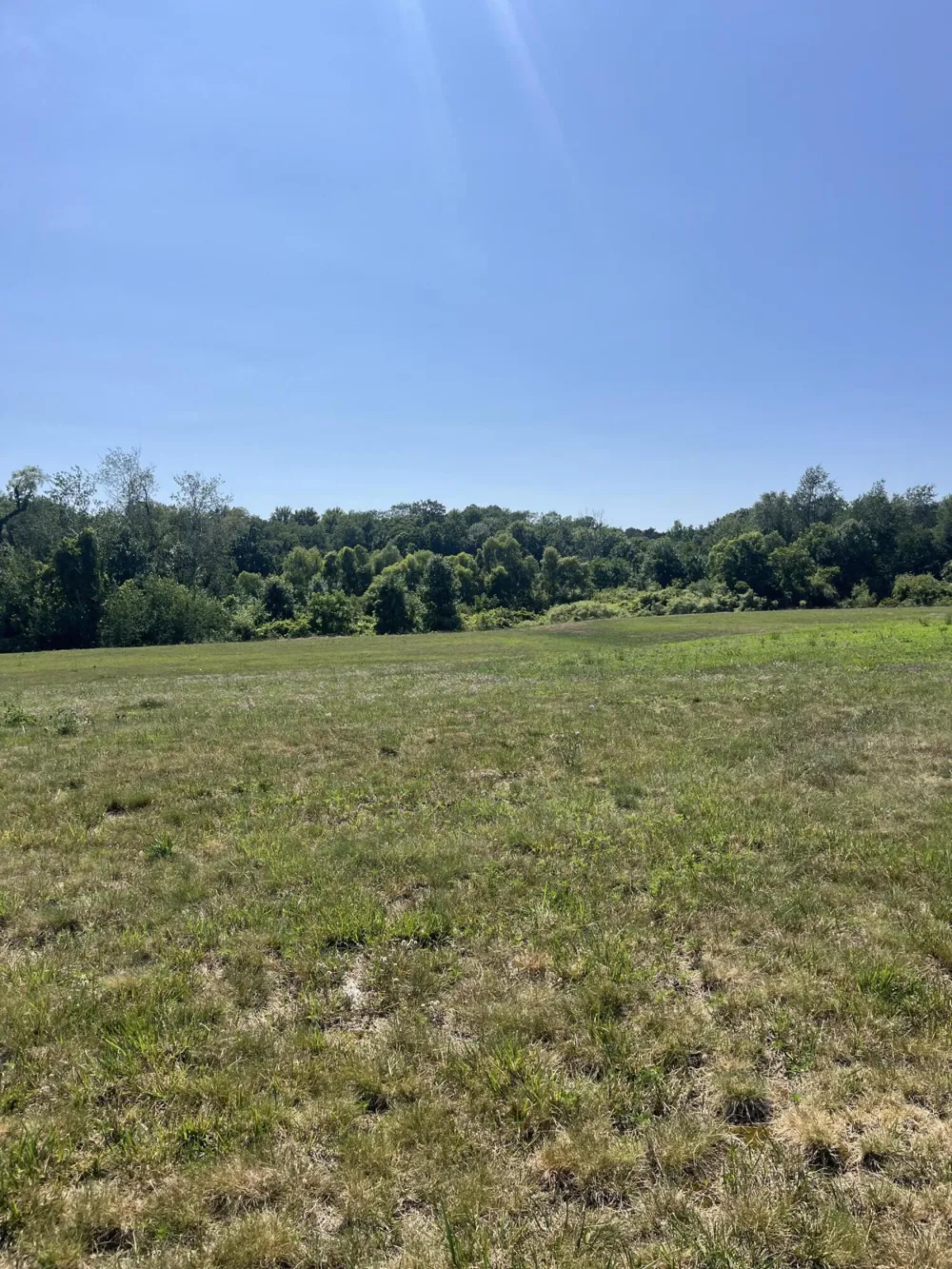 2178 Selah Way Fennville, MI 49408